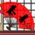 猩球崛起